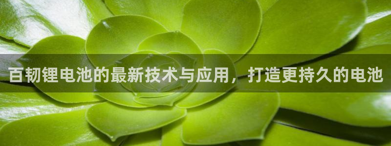 尊龙凯时网站是什么地方人开的