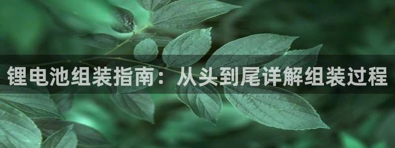 尊龙2021年最新消息