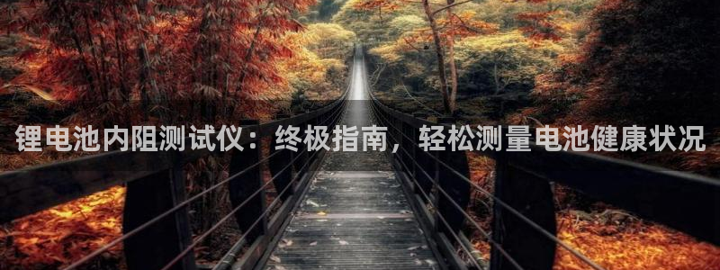 尊龙官网免费下载安装