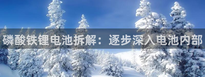 ZL尊龙凯时集团