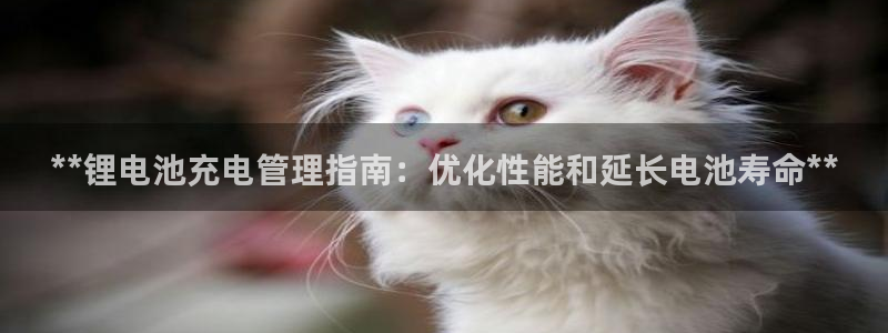 尊龙人生就是一博!