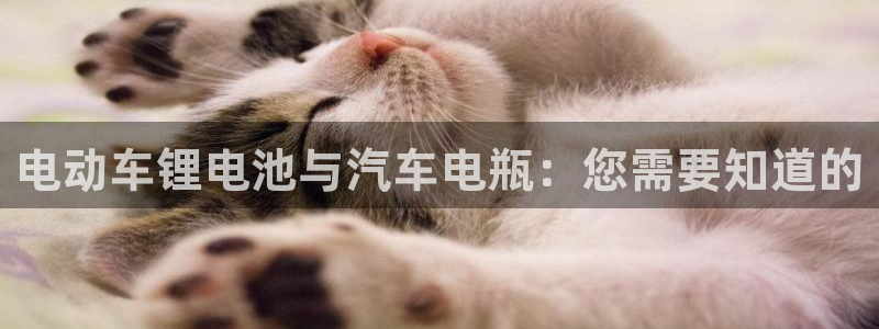 尊龙凯时能做退米么