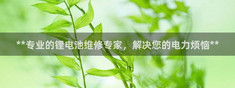 凯时游戏官方网站
