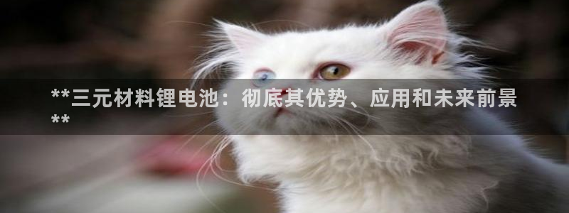 尊龙官网免费下载安装