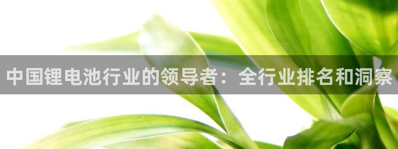 z6com尊龙凯时百家乐