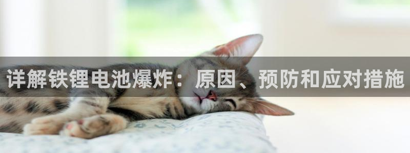 尊龙新版官网网页版
