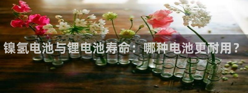 尊龙官网网页版