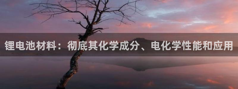 尊龙官方