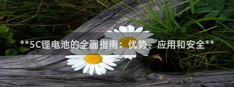 尊龙凯时输钱的原因