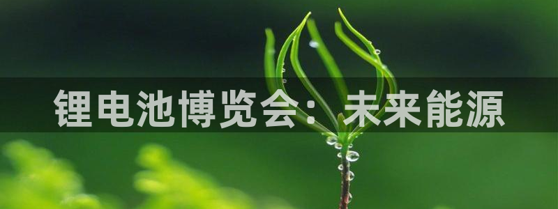 尊龙凯时官网