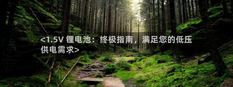 尊龙网站手机下载