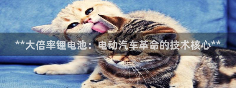 尊龙下载推荐网站