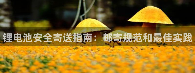 尊龙凯时人生就是搏包装优势