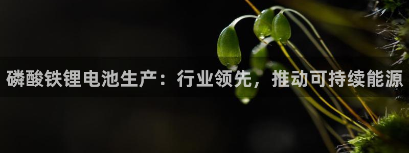 尊龙手机官方客户端下载
