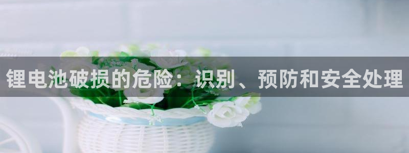 尊龙AG旗舰厅APP