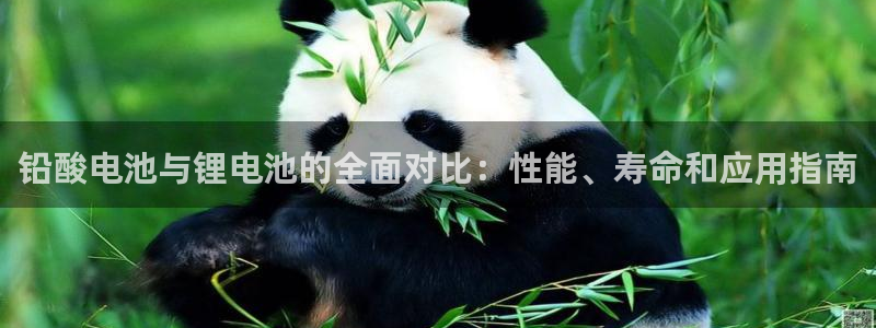 怎样能成为尊龙凯时平台的会员