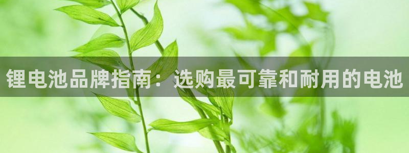 尊龙集团有限公司官网