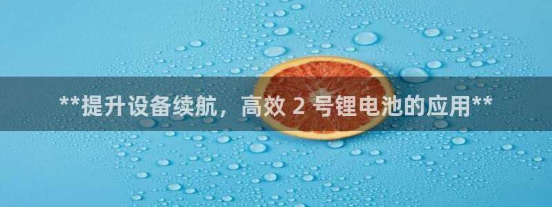 尊龙凯时的企业文化