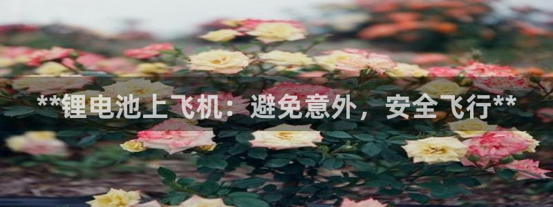 尊龙d88ag官方网站