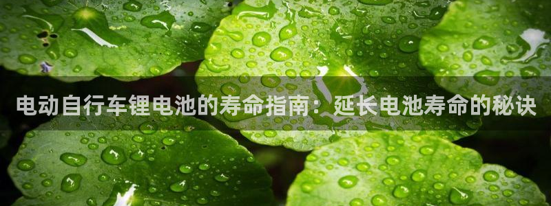 尊龙凯时 - 人生就是搏!