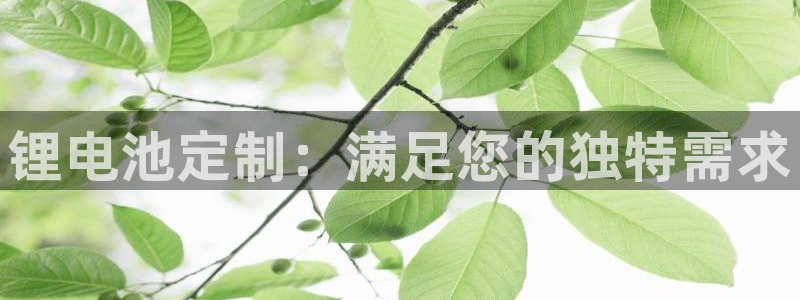 尊龙官方网站最新版V9.3.06介绍