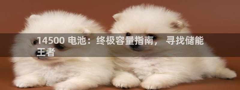 尊龙用现金娱乐一下下载旧
