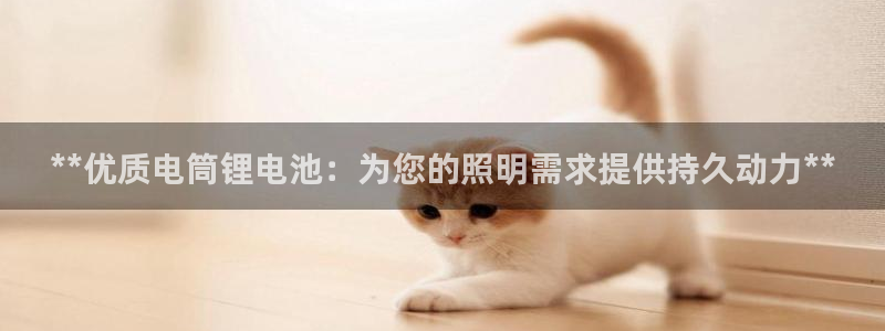 尊龙凯时-人生就是博中国官网