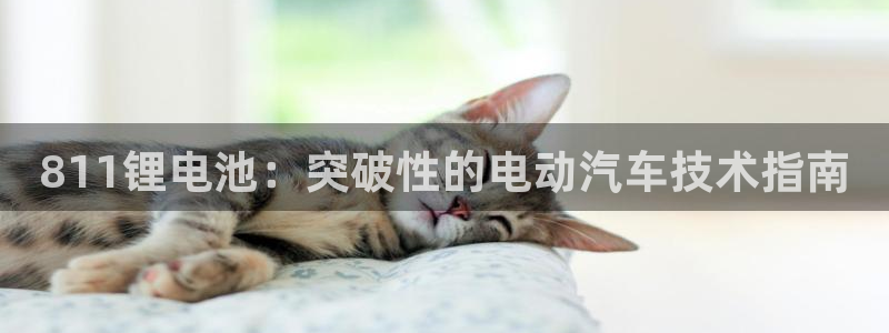 尊龙 贴吧