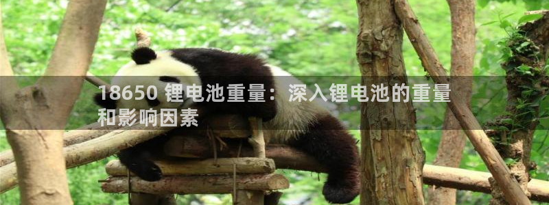 尊龙网站手机下载