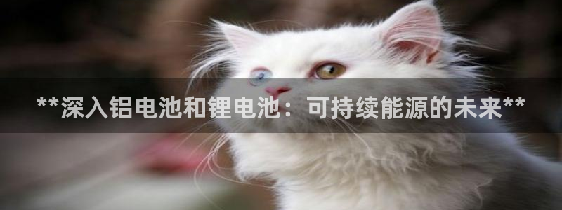 尊龙凯时能做退米么