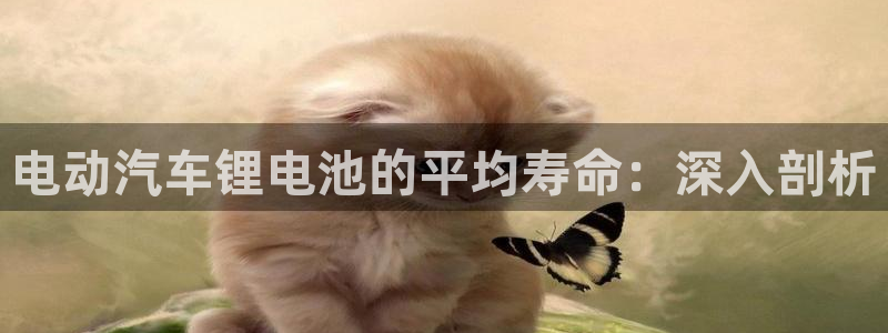 尊龙凯时不给提款