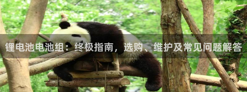 尊龙凯时请求参数不符合