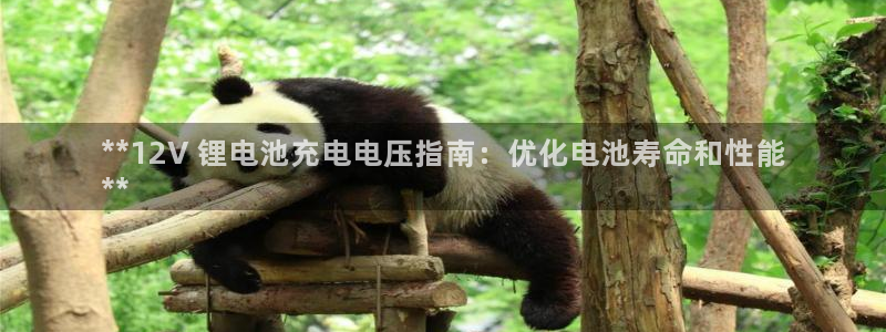 尊龙人生就是博ag