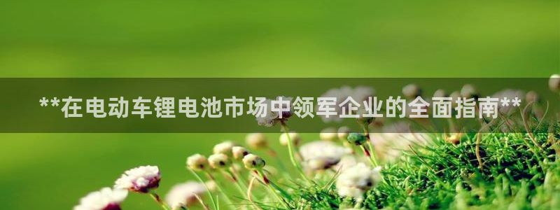 尊龙ag旗舰厅手机版