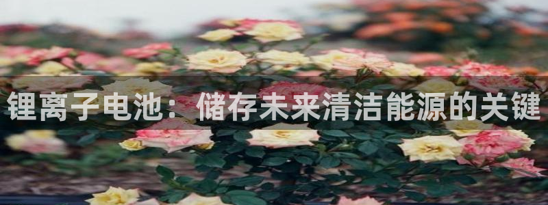 尊龙人生就是博首页