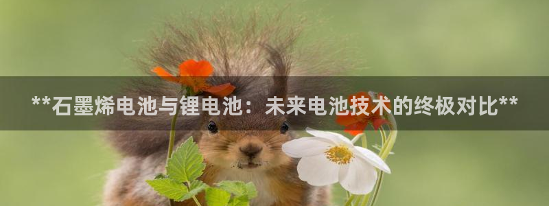 尊龙现金娱乐 下载