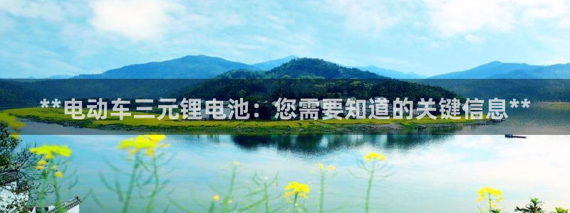 尊龙游戏官方网