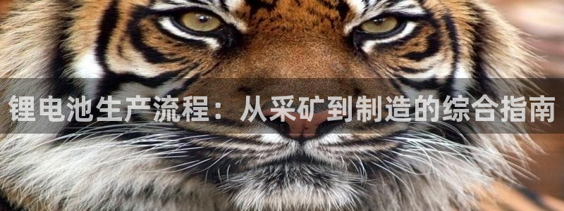 凯时a88