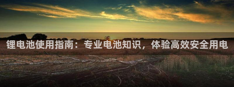 尊龙凯时产品系列