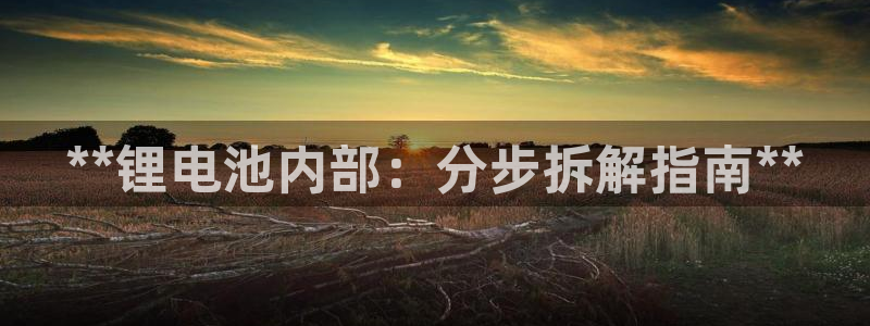 ag尊龙怎么样