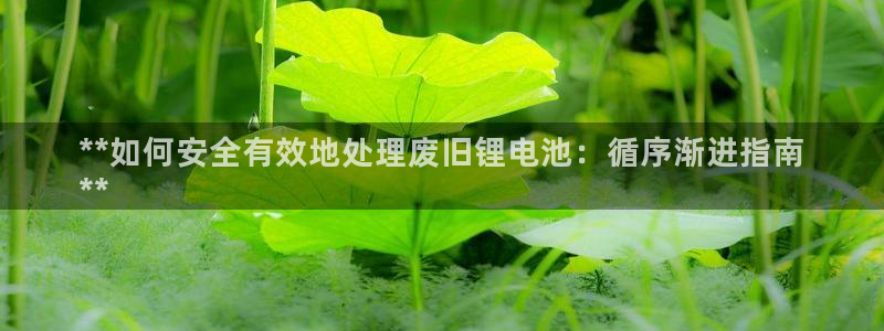 尊龙凯时app官网