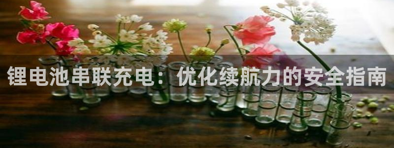 尊龙服饰有限公司地址