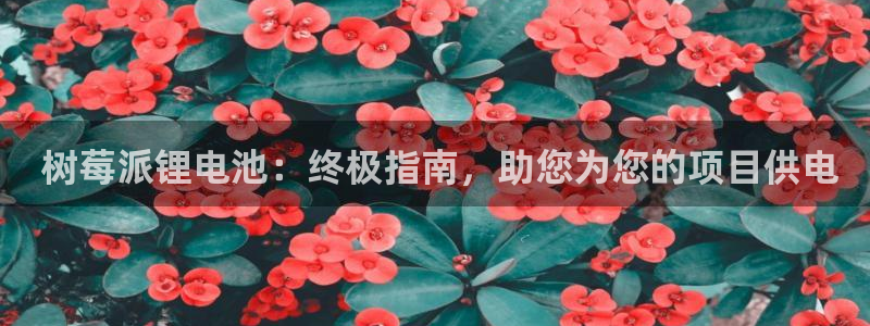 尊龙凯时家居是品牌吗