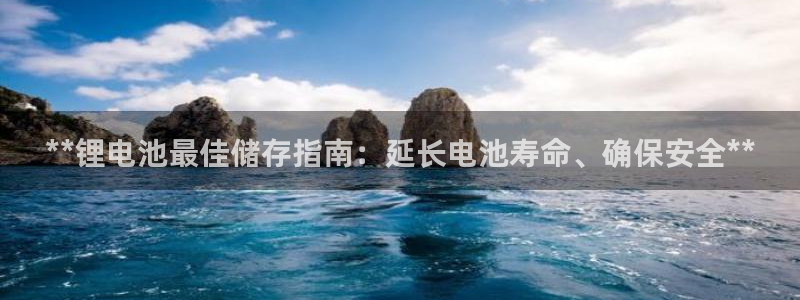 尊龙人生就是博客服：**锂电池最佳储存指南：延长电池寿命、确保安全**