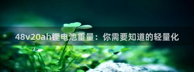 尊龙-人生就是博