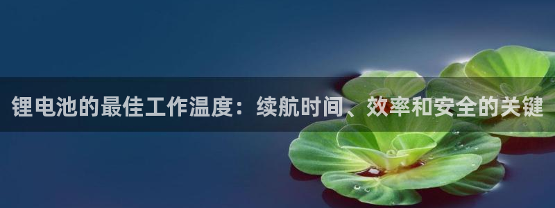 K66凯时国际平台官网