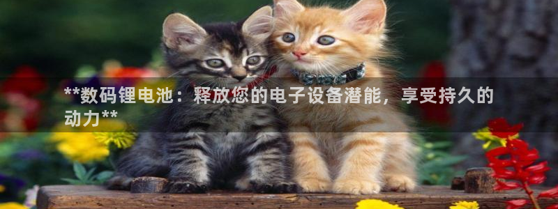 尊龙凯时下载人生就是博