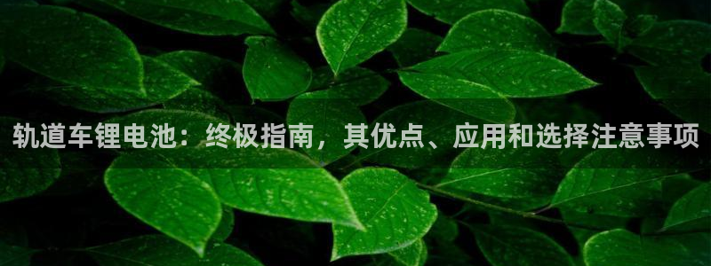 尊龙凯时app官网