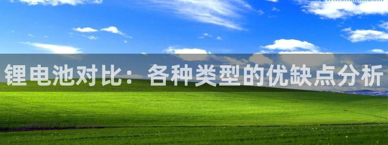 尊龙游戏官方网
