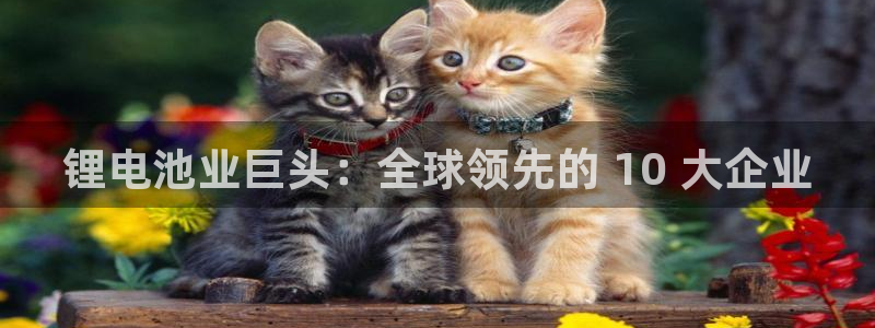 尊龙官网
